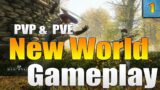 Amazon's New World MMO Gameplay! PVP Gameplay & PVE Gameplay in New World MMO!