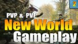 Amazon's New World MMO PVP! New World MMO PVP & PVE Gameplay! Sword & Shield Gameplay in New World!