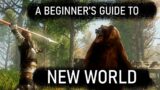 What you need to know about New World