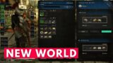 NEW WORLD Recap Of Amazon Games PVP Vision & ICE BOUND Update New Features! (NEW MMORPG PC)