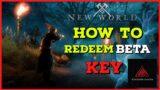 How To Redeem A New World Beta Key