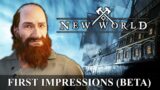 Is NEW WORLD Any Good? Beta First Impressions