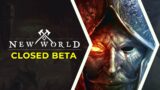 New World Beta | How to Play