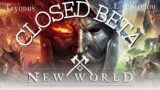 New World MMO BETA first time Playing