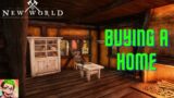 New World MMO – House Purchase And Decoration Reaction