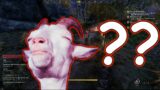 Where are the sheep?! – Stonereach Hunt Quest – New World Beta – How to Find The Sheep at Stonereach