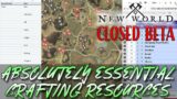 ABSOLUTELY ESSENTIAL CRAFTING RESOURCES – Amazon Games Studio New World Closed Beta