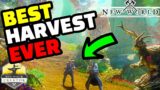 New World – Harvesting Gameplay