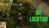 New World MMO – Seeping Stone / Oil Location