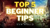 Top 5 Beginner Tips New World