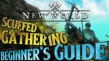 A not-so-ULTIMATE Beginner's guide to Gathering in New World