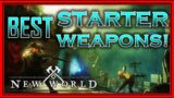 BEST Starter Weapons for NEW WORLD!