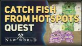 Catch fish from Hotspots New World