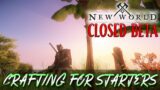 HOW CRAFTING WORKS IN NEW WORLD – Amazon Games Studio New World Closed Beta