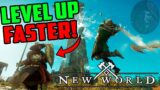 How To Level Up FAST in New World!