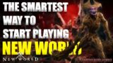 How to Get the Best Start in New World! Tips & Tricks, Great Resources & Everything You Need To Know