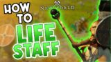 Learn To Heal From An EXPERT Healer! New World Life Staff Guide & Build!