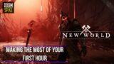 Making the Most of Your First Hour | New World