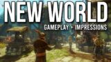 New World – First Impressions Gameplay
