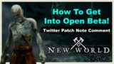 New World How To Get Into Open Beta, Patch Note Info and More!