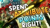New World: How To Invest Attribute Points! ALL Common Weapon Combinations!