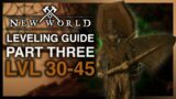 New World Leveling Series! Part 3 Late Game Level 30-45