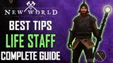 New World Life Staff Weapon Guide and Gameplay Tips – Best Skills & Abilities