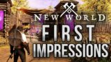 New World MMO First Impressions – Is it Fun?