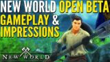 New World Open Beta Gameplay and Impressions – Will I Buy It?