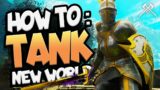 New World Tank Guide/Build! How To Tank in New World
