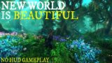 New World is BEAUTIFUL | No HUD Gameplay