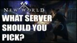 Server Selection Guide – New World (Updated Server List)