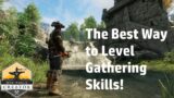 The BEST way to Level Your Gathering Skills! | New World