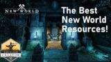 The Best Resources to use for New World! | New World