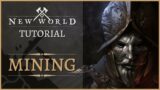 [Tutorial / Guide] NEW WORLD | MINING GUIDE – (Tips / Tricks / Resource Location / Optimization)