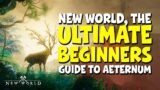 ULTIMATE BEGINNERS GUIDE to New World