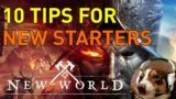 10 New World New Starter Tips
