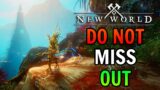 10 Things EVERY New World Player MUST Do NOW