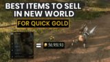 5 Best New World Items For Beginners To Sell For Quick Gold! (Sell These Now)
