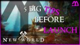 5 Big Tips for New World Pre Launch!