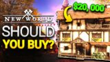 Are Houses Worth Buying? – New World Housing Guide