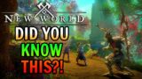 BEST New World Tips & Tricks You Might NOT Know!