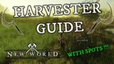 Begginer Guides for Harvesting in New World WITH MAPS OF RESOURCES SPOTS | Guides Part 2 – Harvester