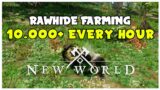 Best Rawhide Farming Spot 10.000+ Every Hour! | New World Guide