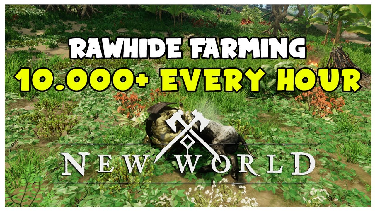 Best Rawhide Farming Spot 10.000+ Every Hour! New World Guide New