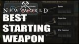 Best Starting Weapon For You – New World
