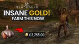 Best Way To Farm Garlic & Make Easy Gold In New World (2000G An Hour Guide)