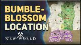 Bumbleblossom Location New World