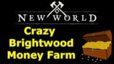 CRAZY New World Money farm route in Brightwood, do this now before prices deflate