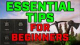 Essential Tips for a Beginning Gatherer | New World